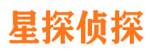 宛城市侦探公司